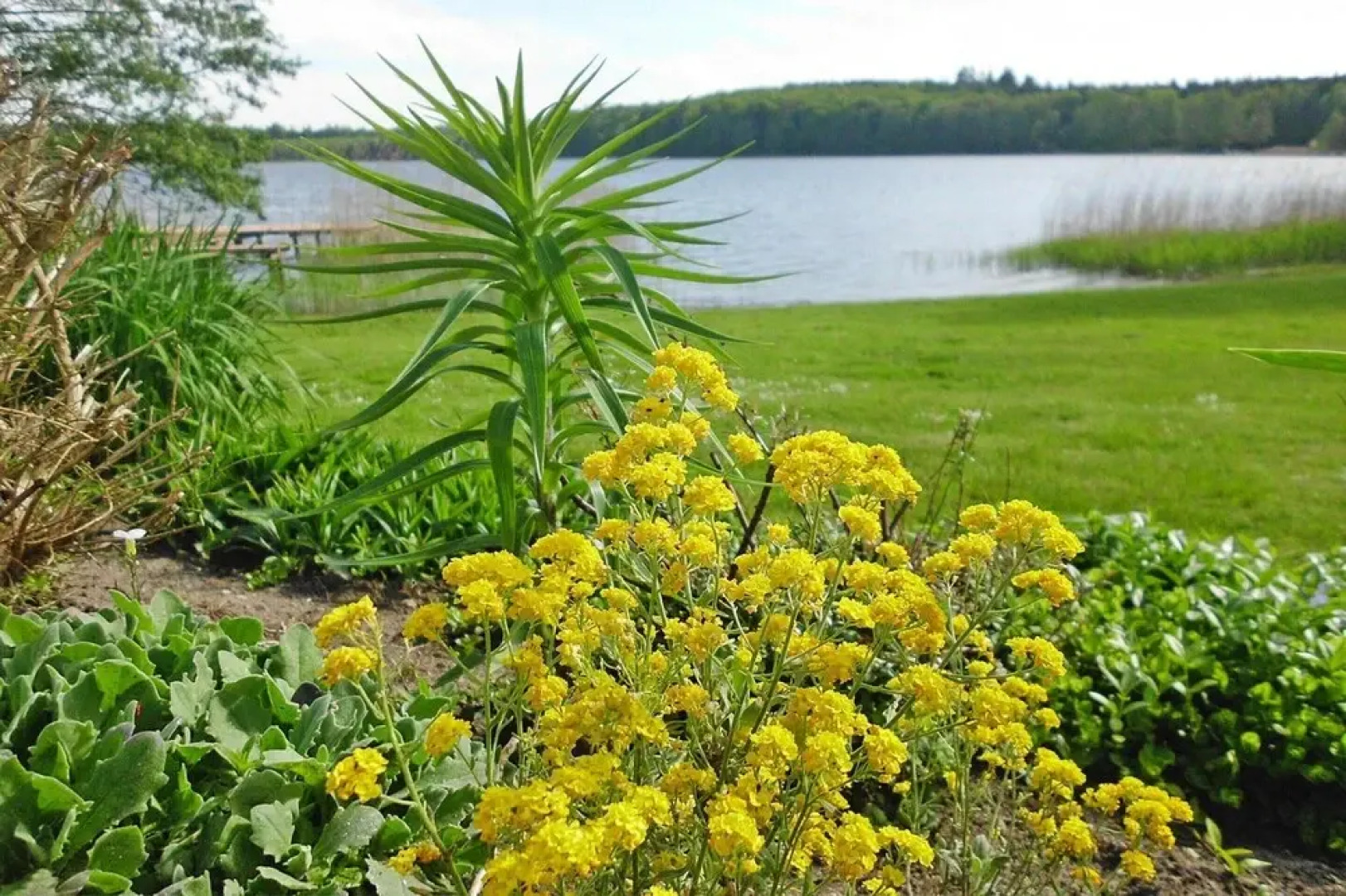 Bungalow in Klein Labenz for 4 Personen