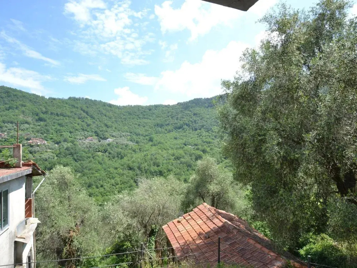 Nature Retreat in Testico