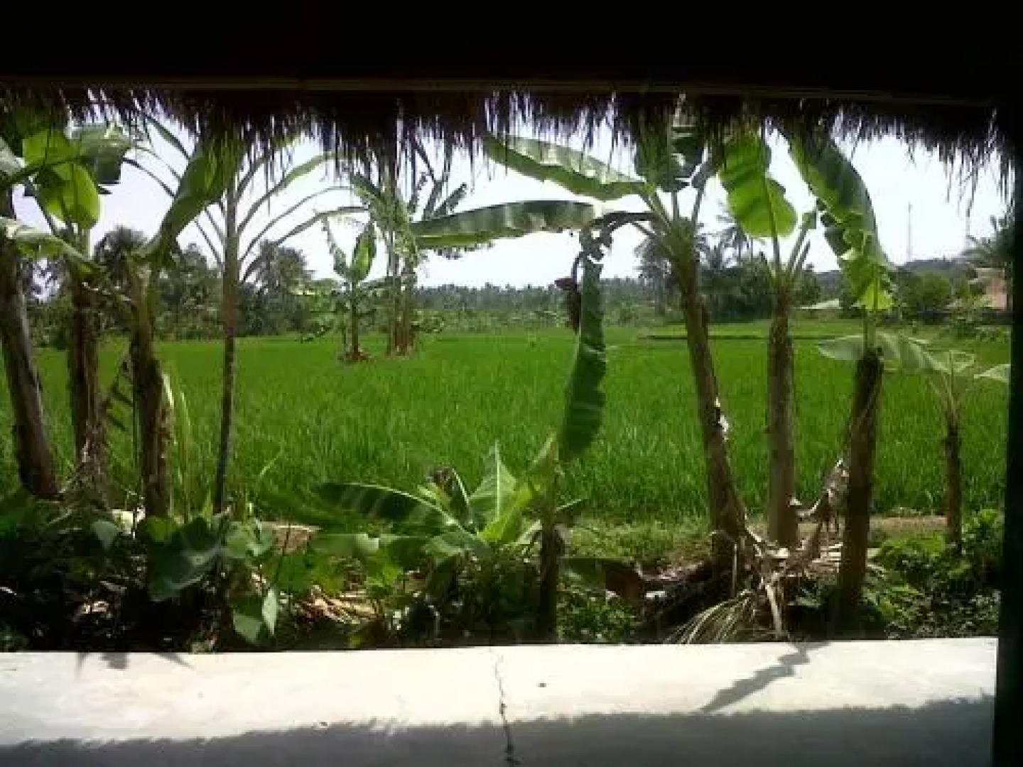 Cimaja Square Hotel & Restaurant