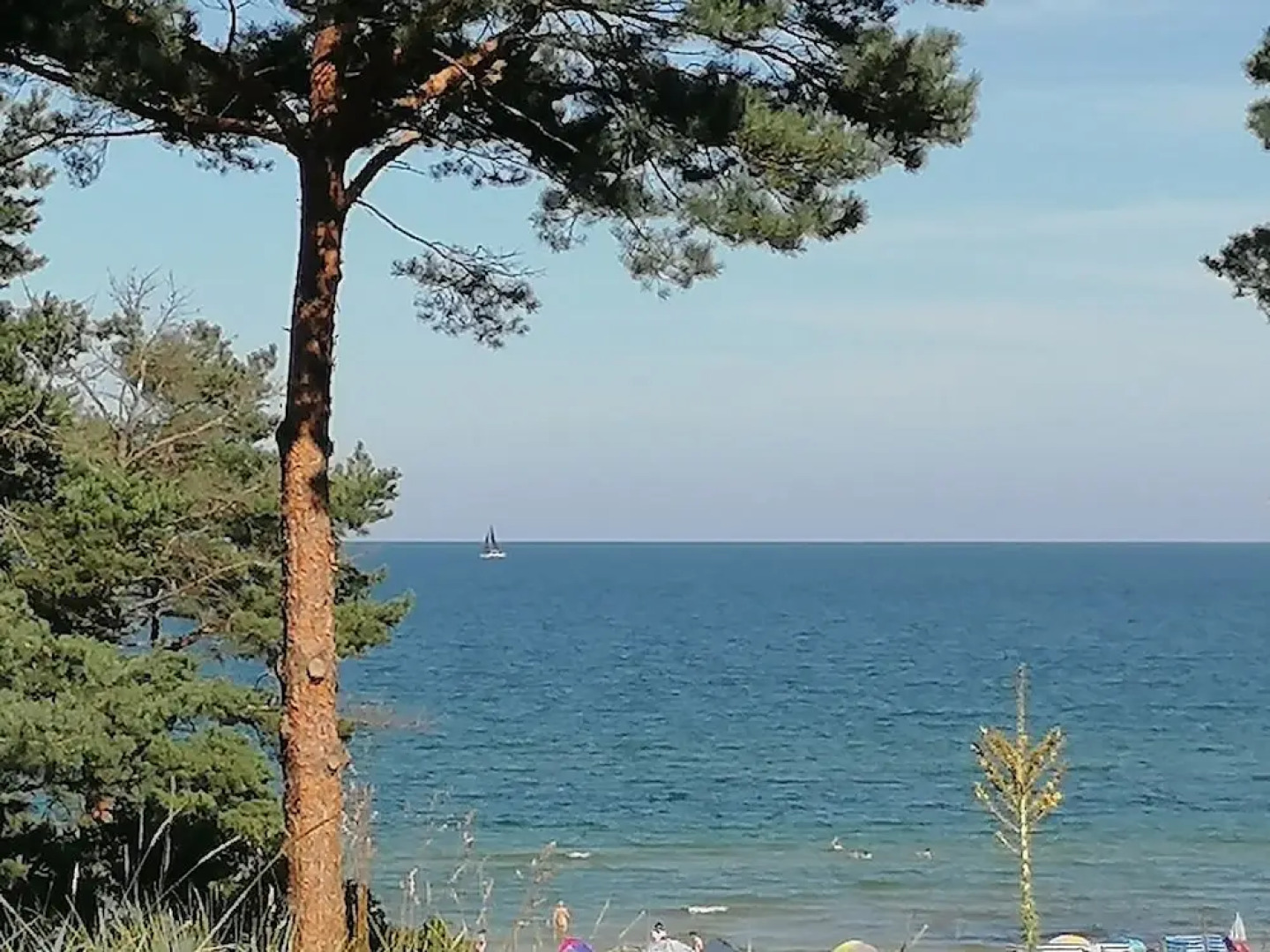 Hotel Lindequist Und Wald Hostel Sellin