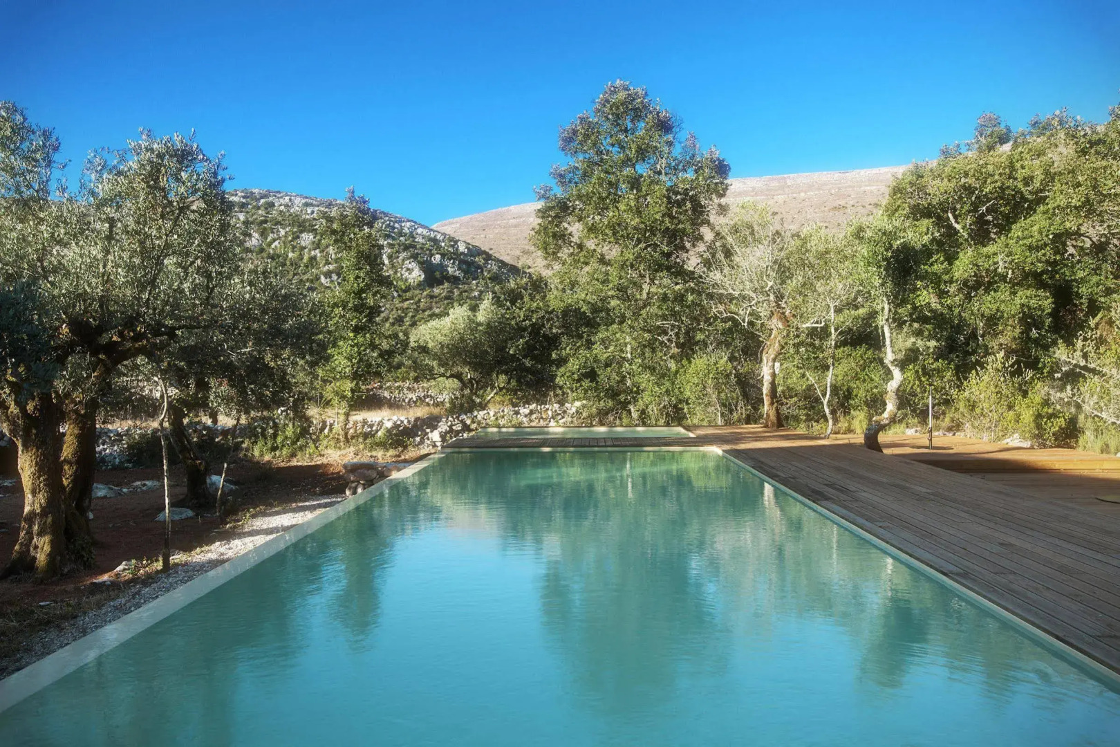 Cooking and Nature Emotional Hotel