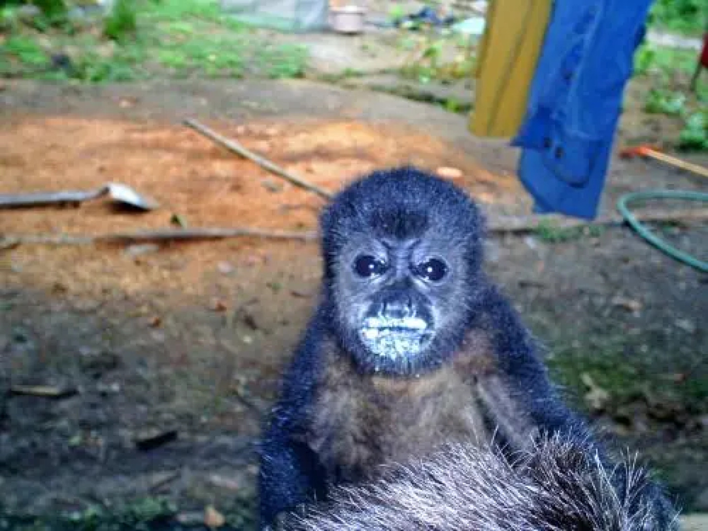 El Tucan Jungle Lodge