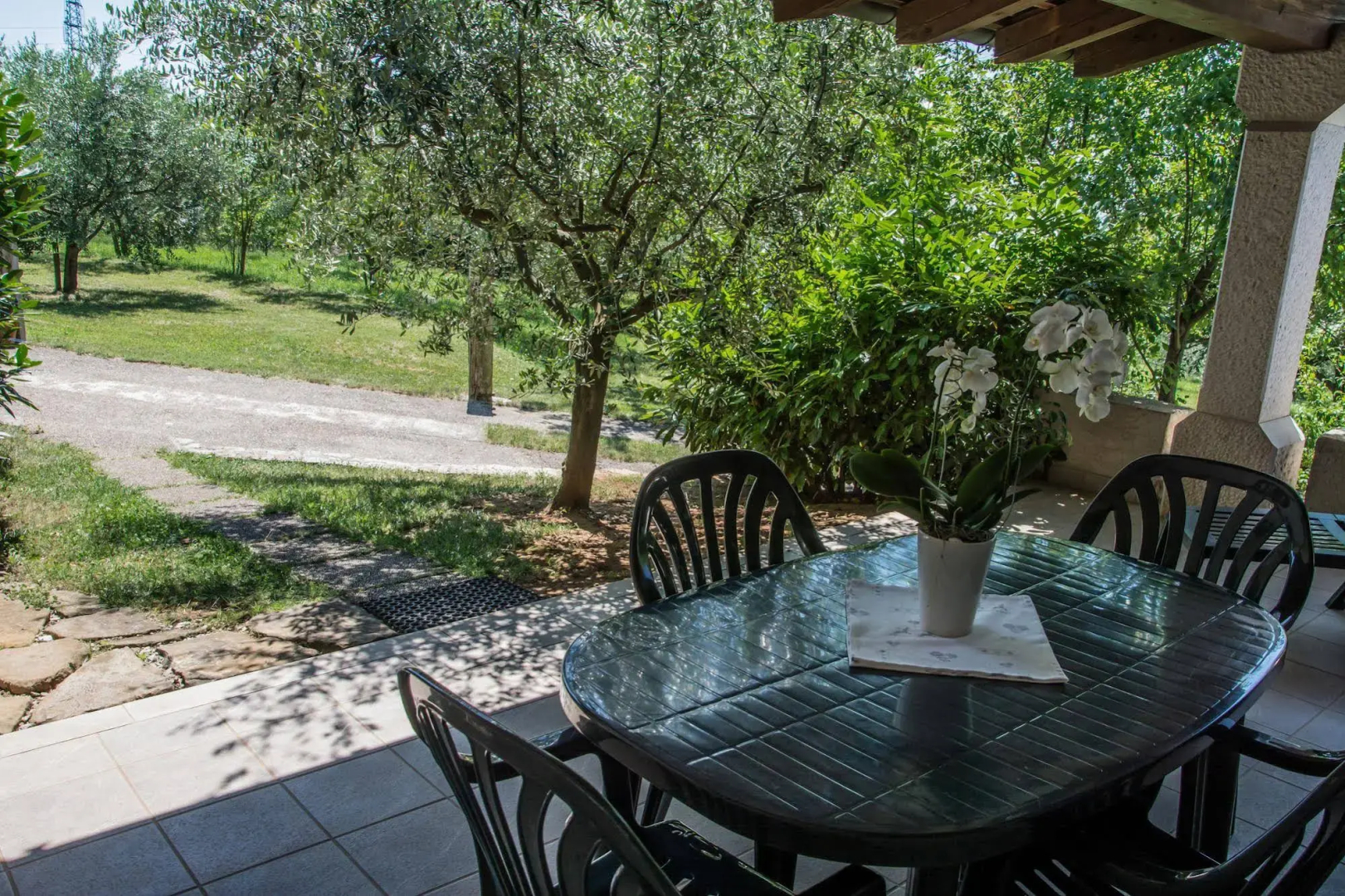 Terra del Carso