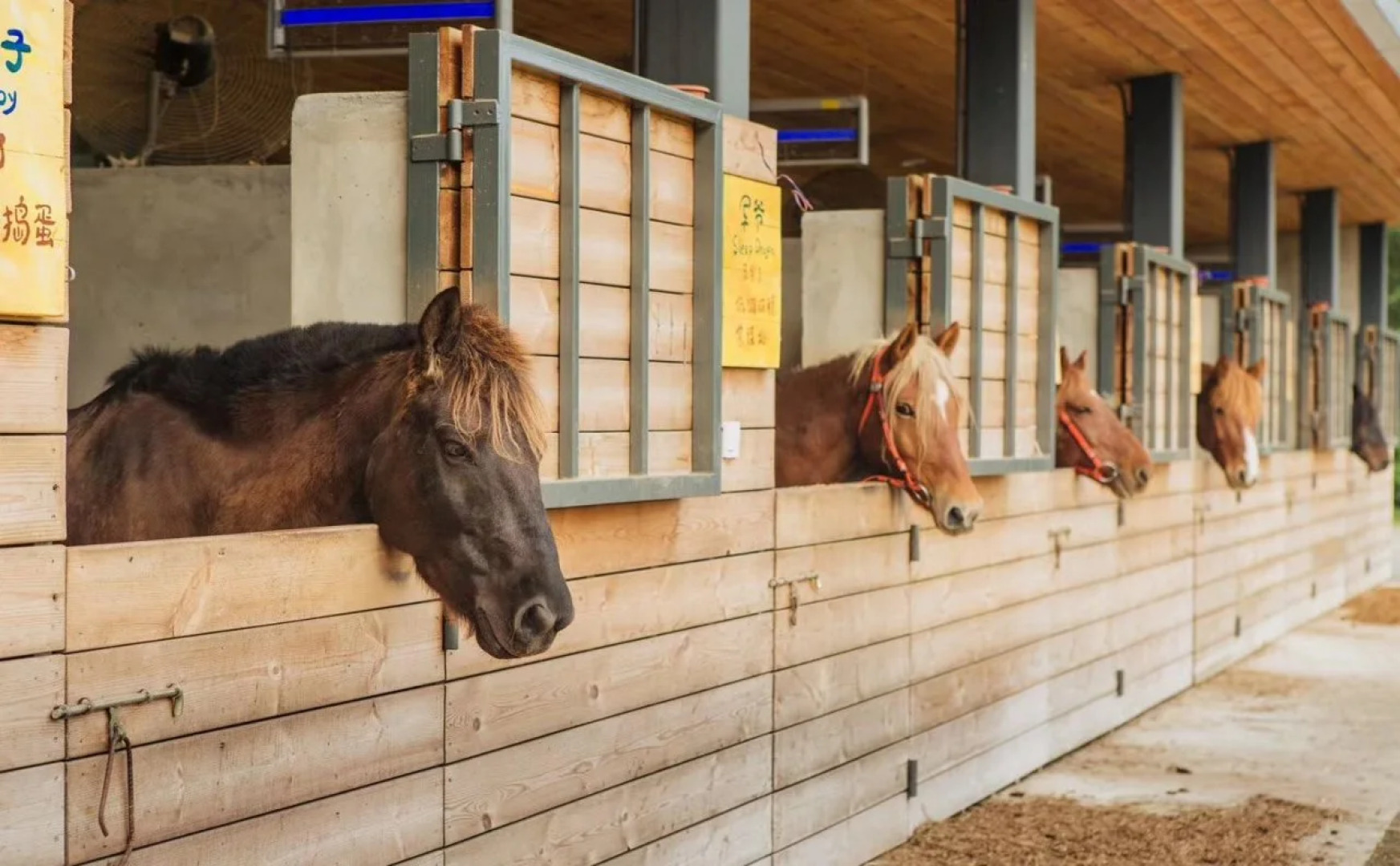 Meijie Mountain Hotspring Resort