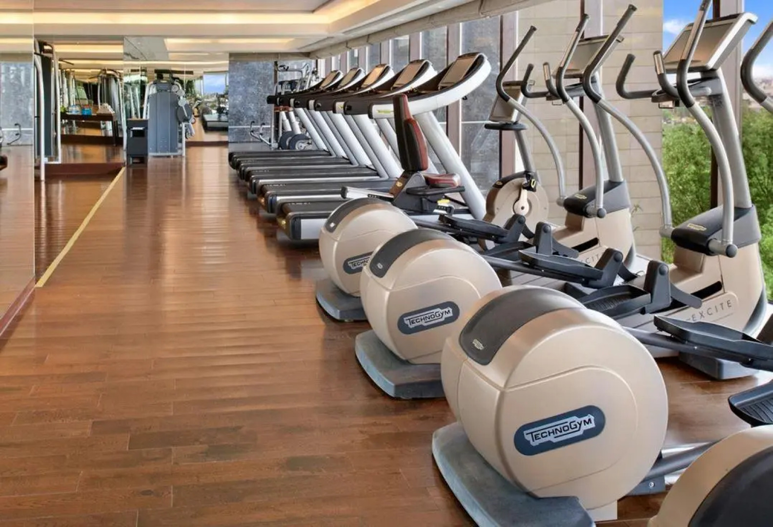 The Leela Ambience Convention Hotel Delhi