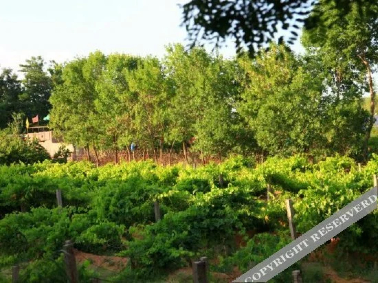 Shapotou Tongjia Yuanzi Folk Customs Village