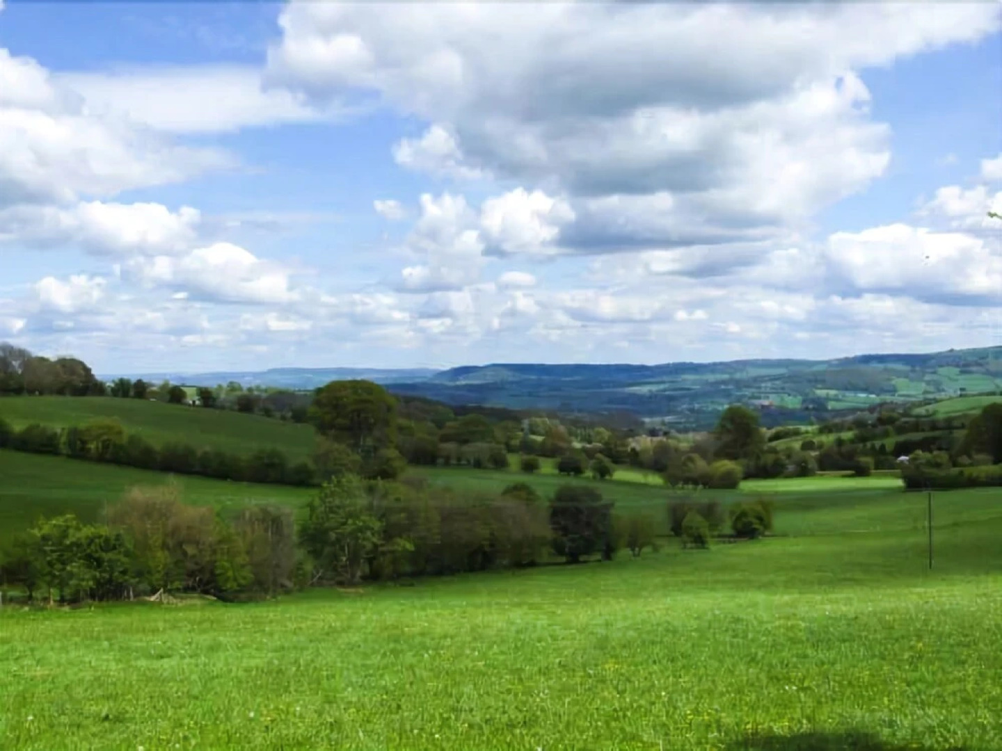 Old Vicarage Cottage