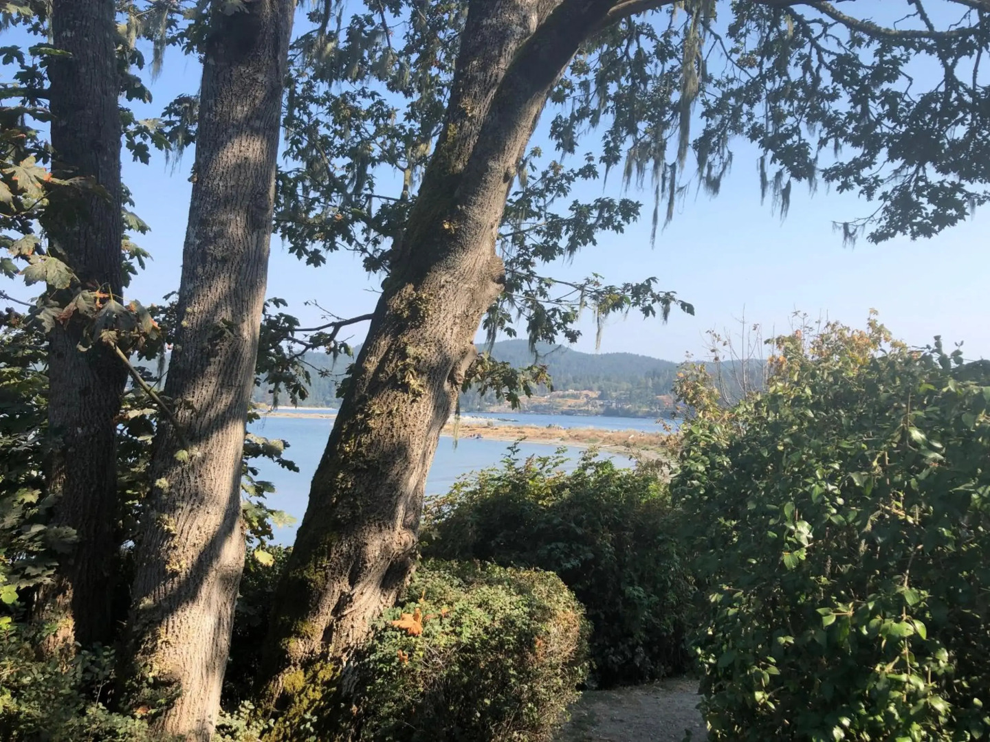 Seagull Studio Vacation Guest Suite