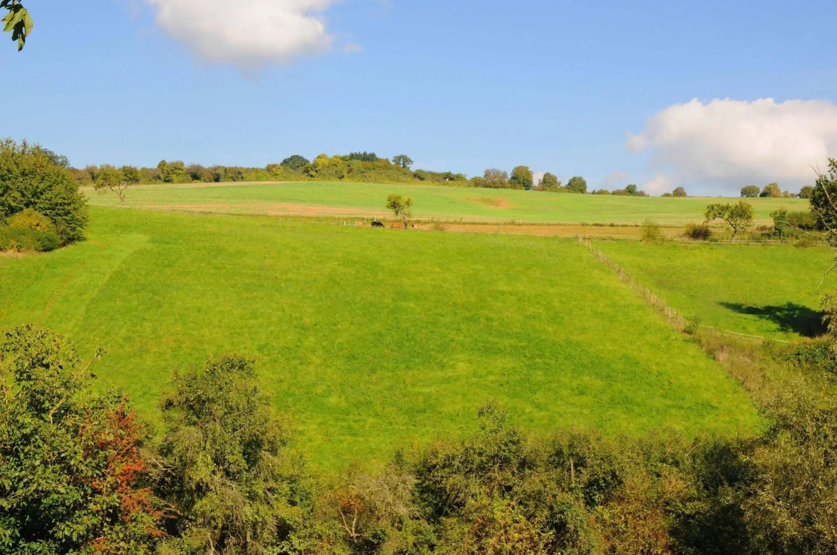 Landgasthof Germania