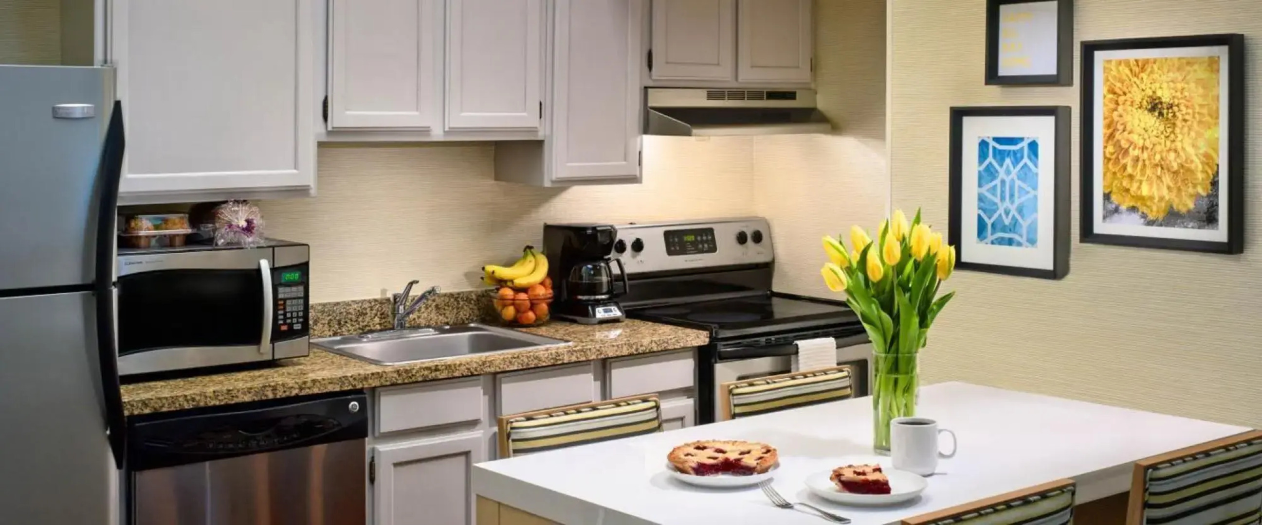 Sonesta ES Suites Ann Arbor