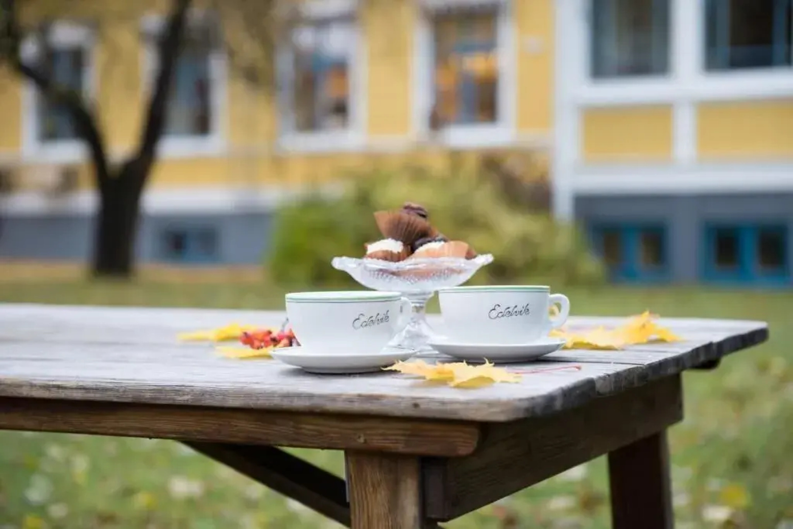 Edelviks Trädgård B&B