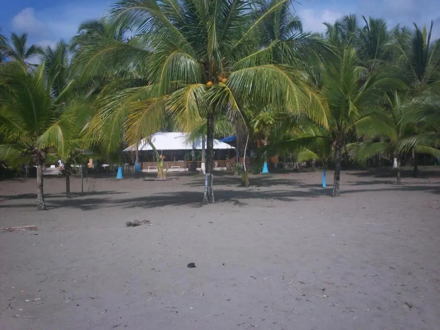 Hotel Playa Westfalia