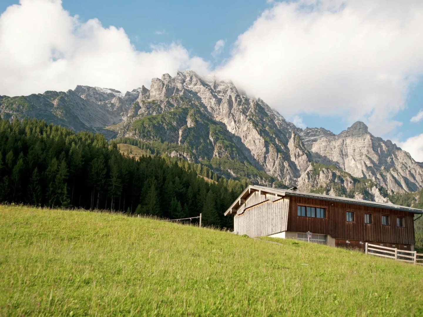Animal -friendly Apartment in Leogang