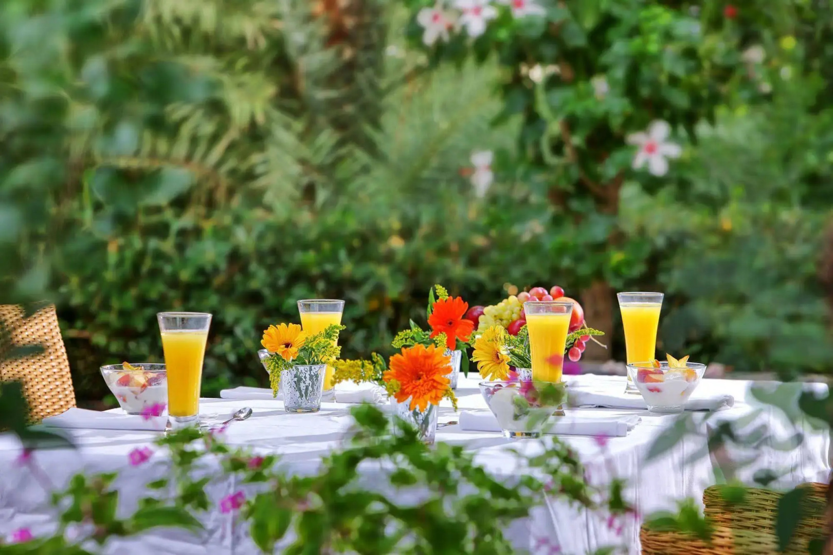 Apollonia Resort & Spa