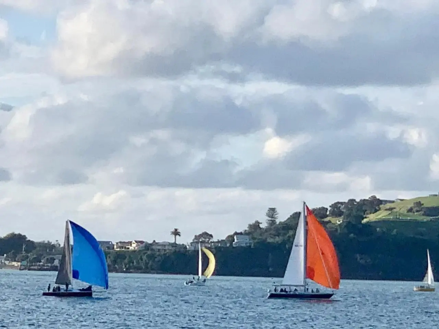 Amazing Seaview House