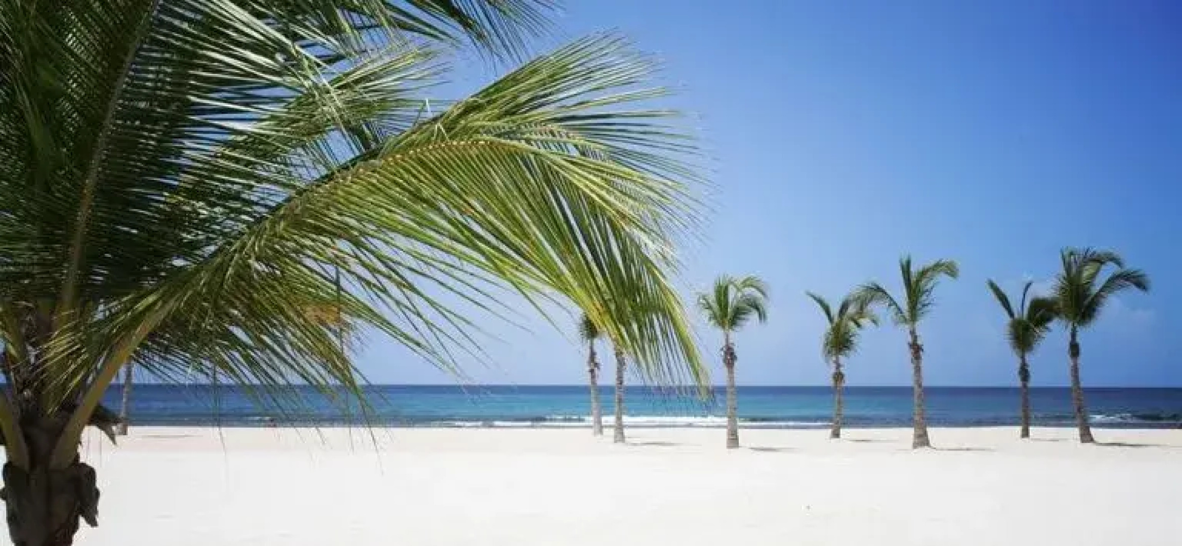 costa del sol juan dolio