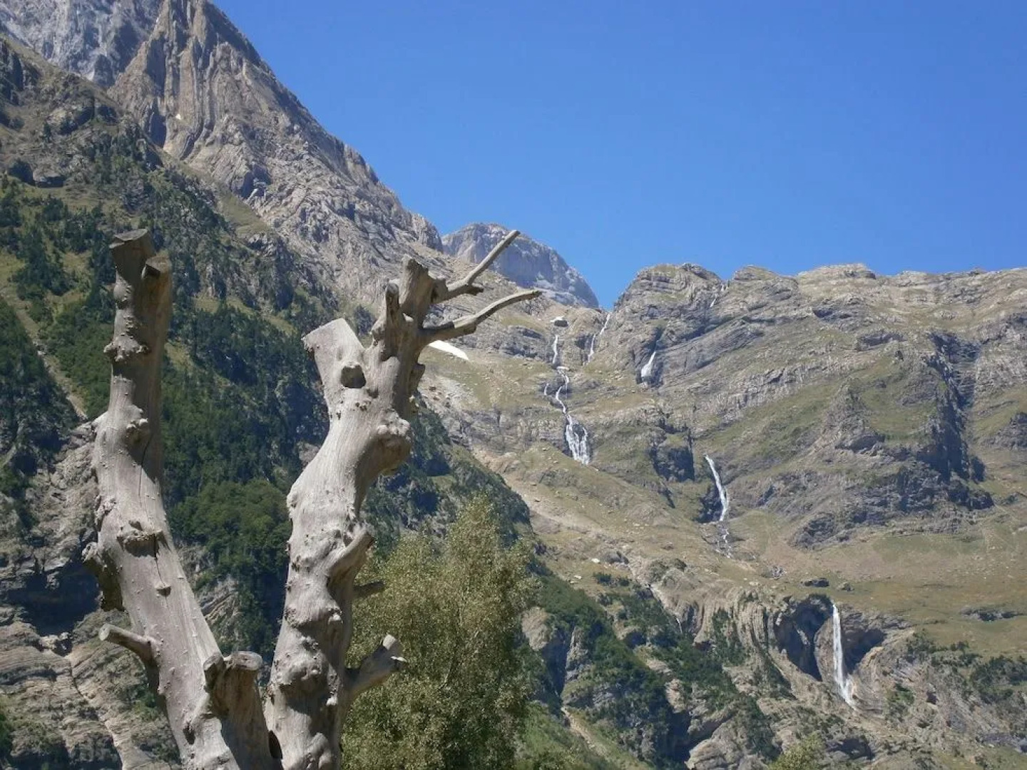 El Capricho de Nieves