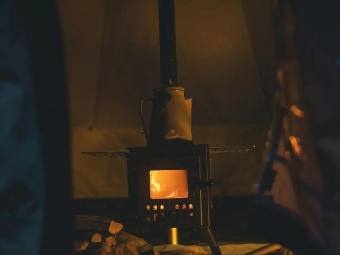 The Forest at Mount Congreve Gardens