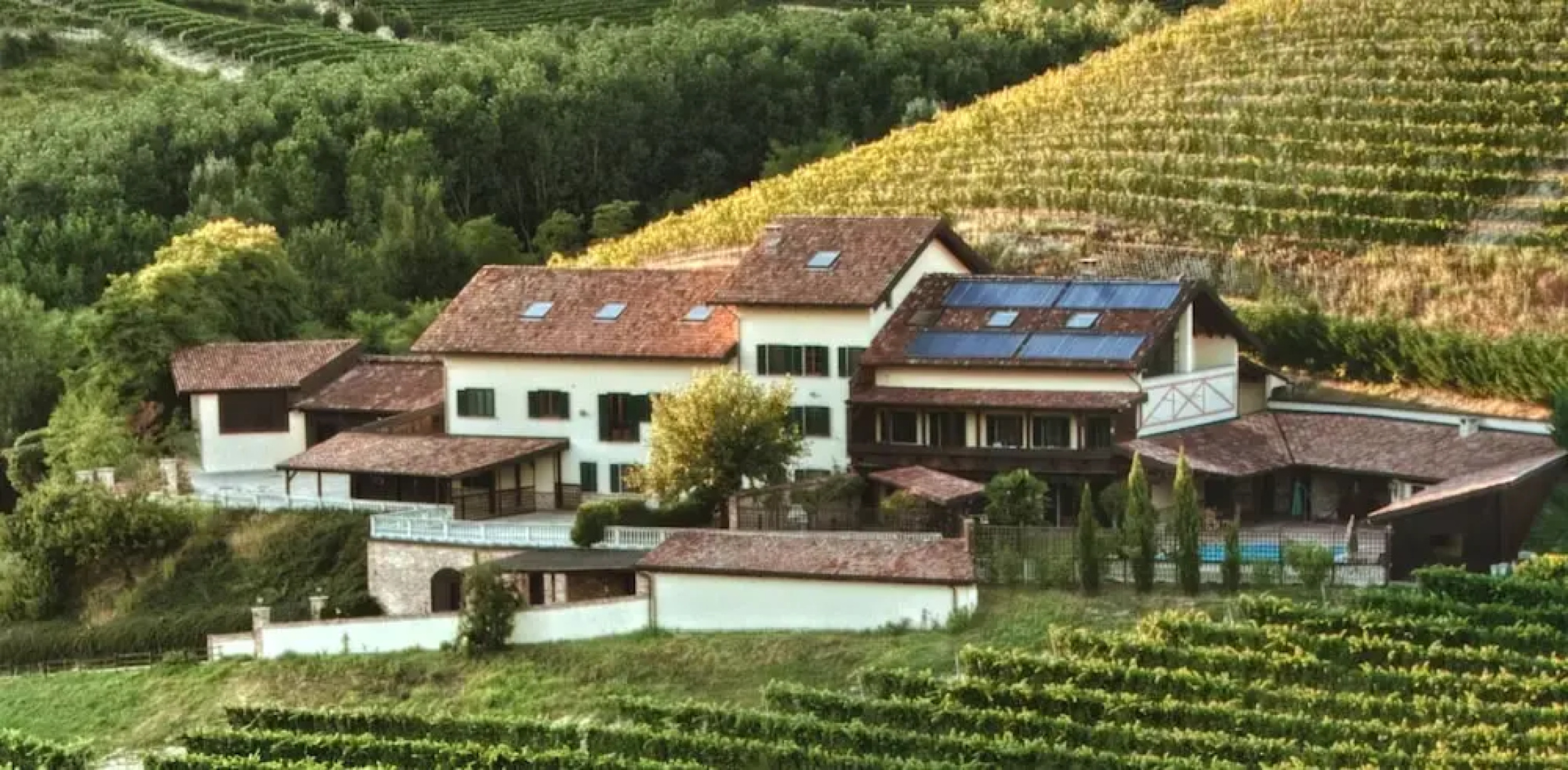 Vineyard House Noceto Michelotti