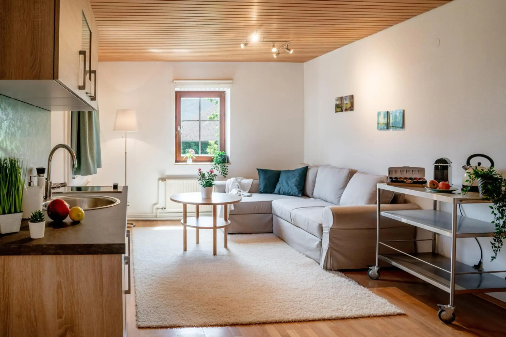 Lakeview Apartment
