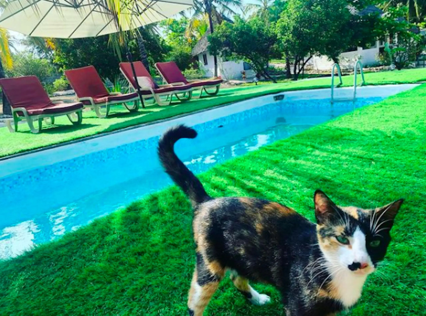 Kilimani Kwetu Beach Hotel