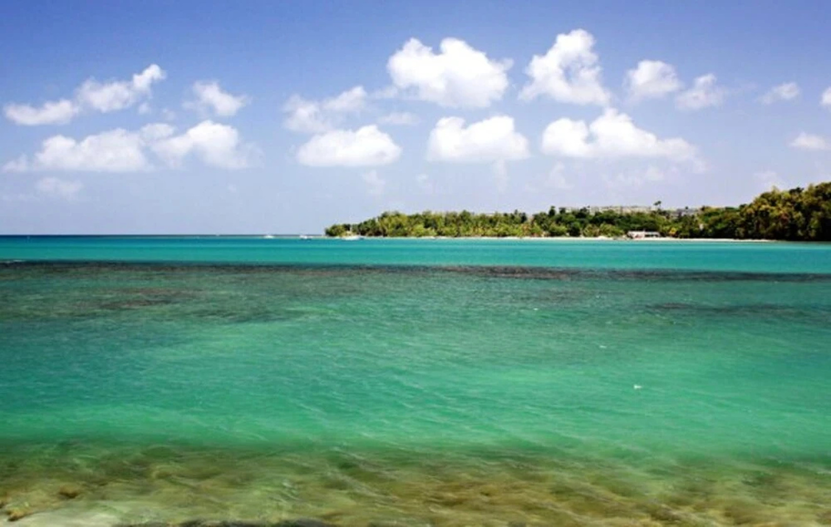 House With one Bedroom in La Trinité, With Wonderful sea View, Furnish