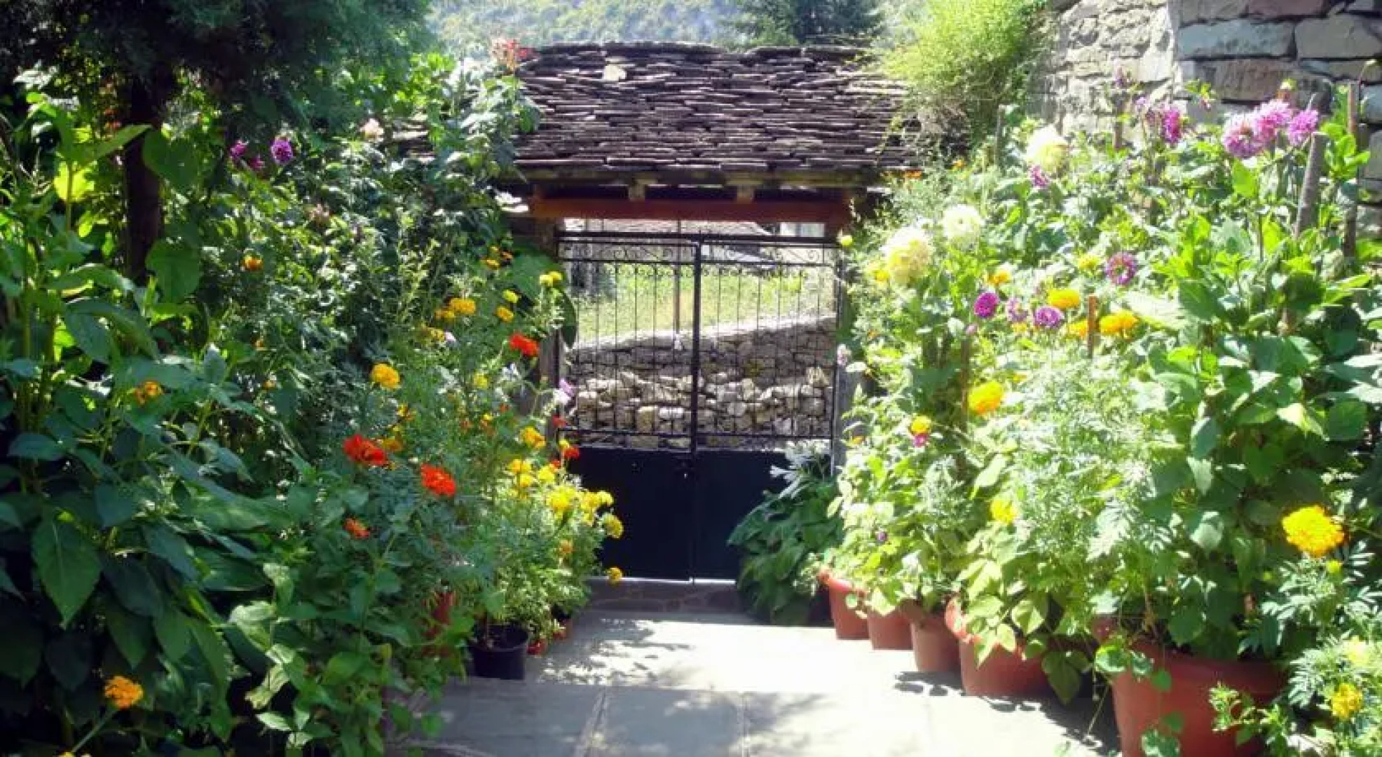 Guesthouse Gouris