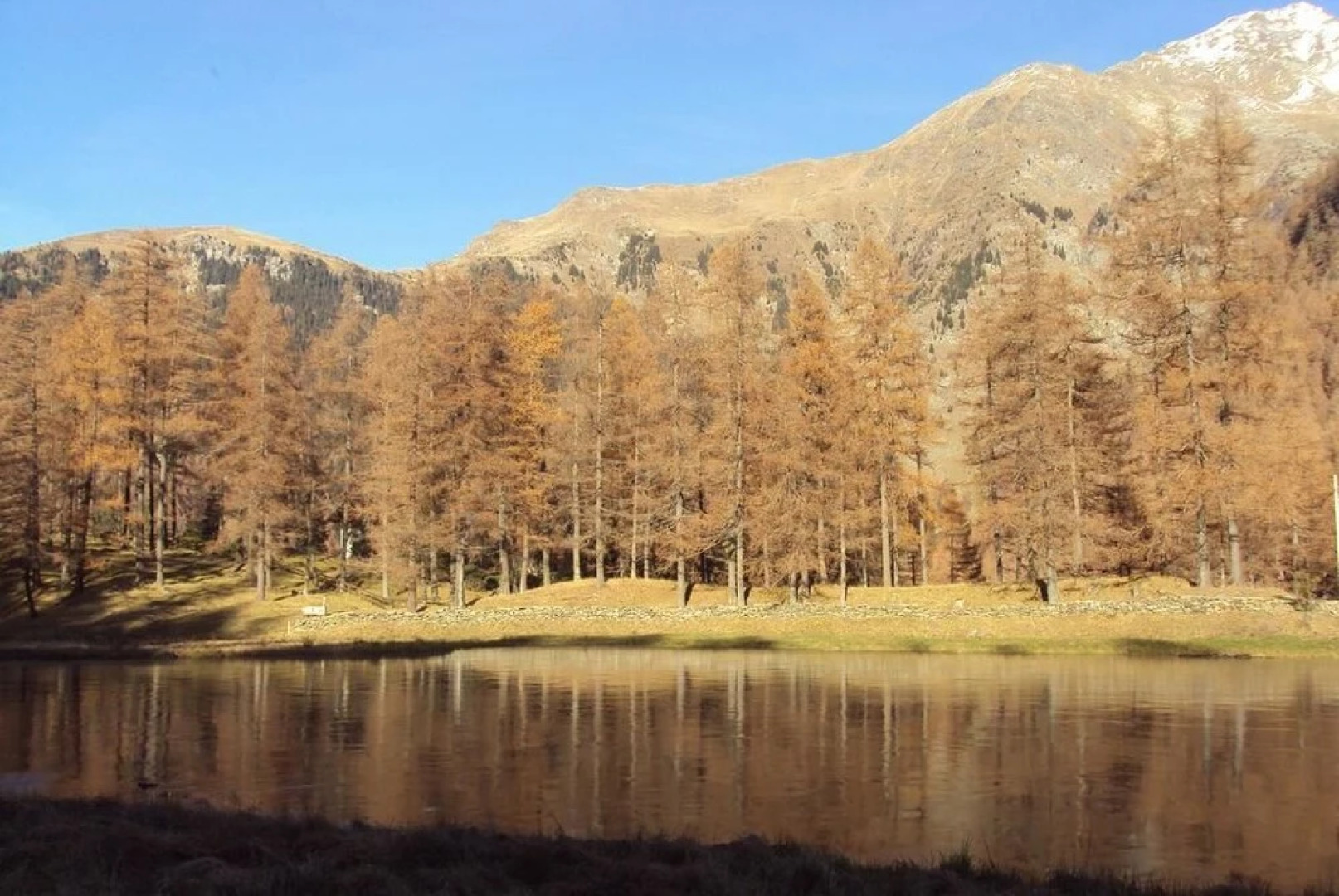 Residence Larice Bianco