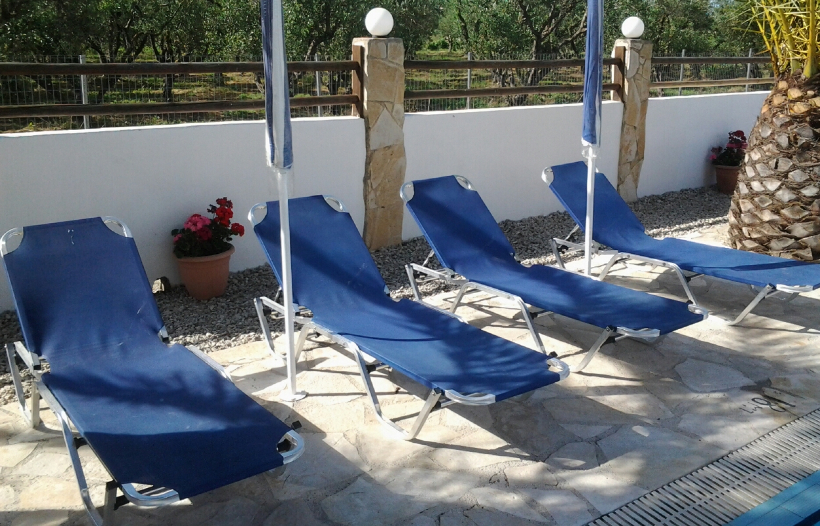 Zante Garden Apartments