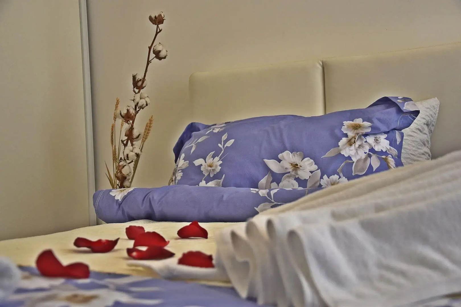 Residence D'Azur