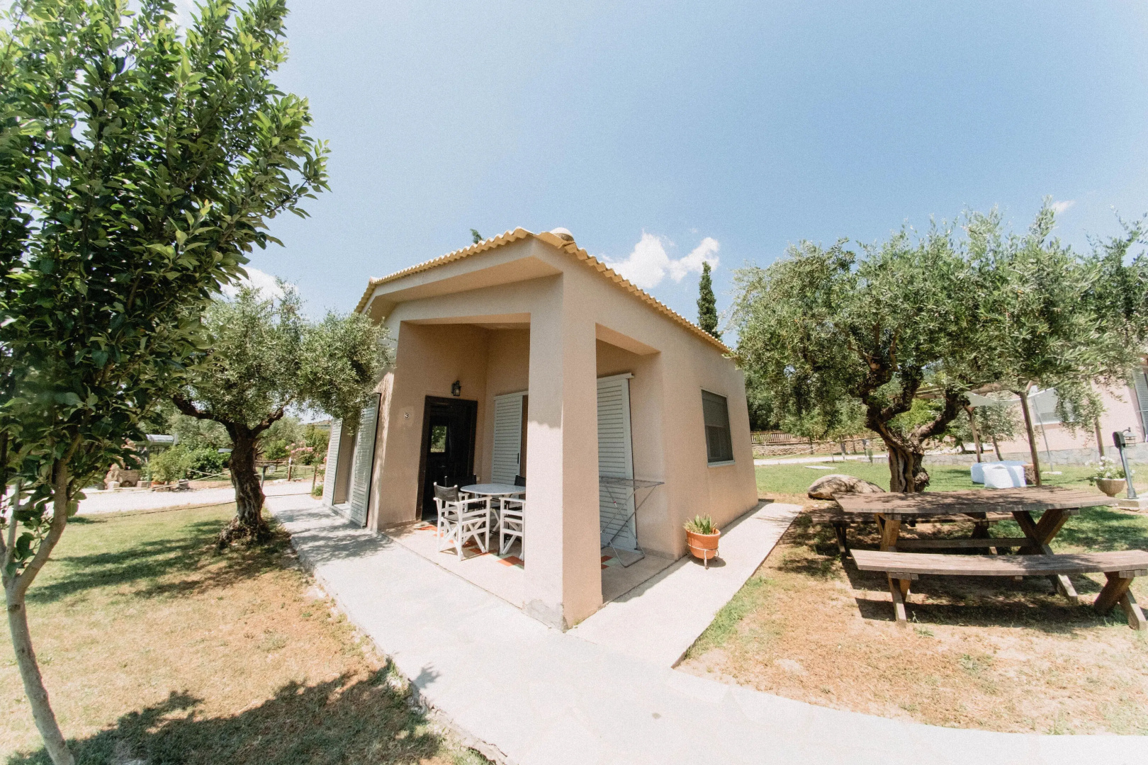 Socrates Organic Village - Wild Olive
