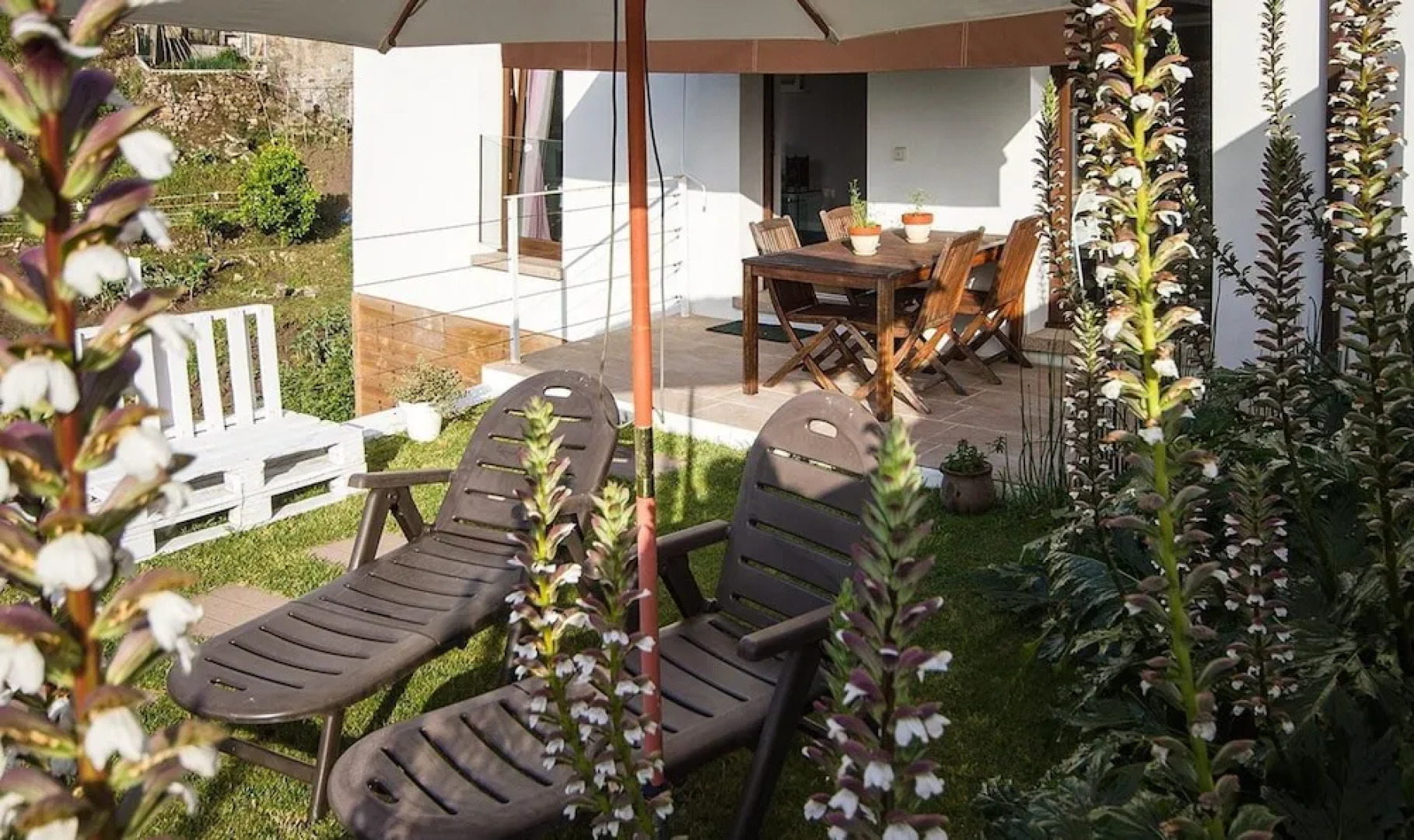 Apartment in Lira - 104953 by MO Rentals