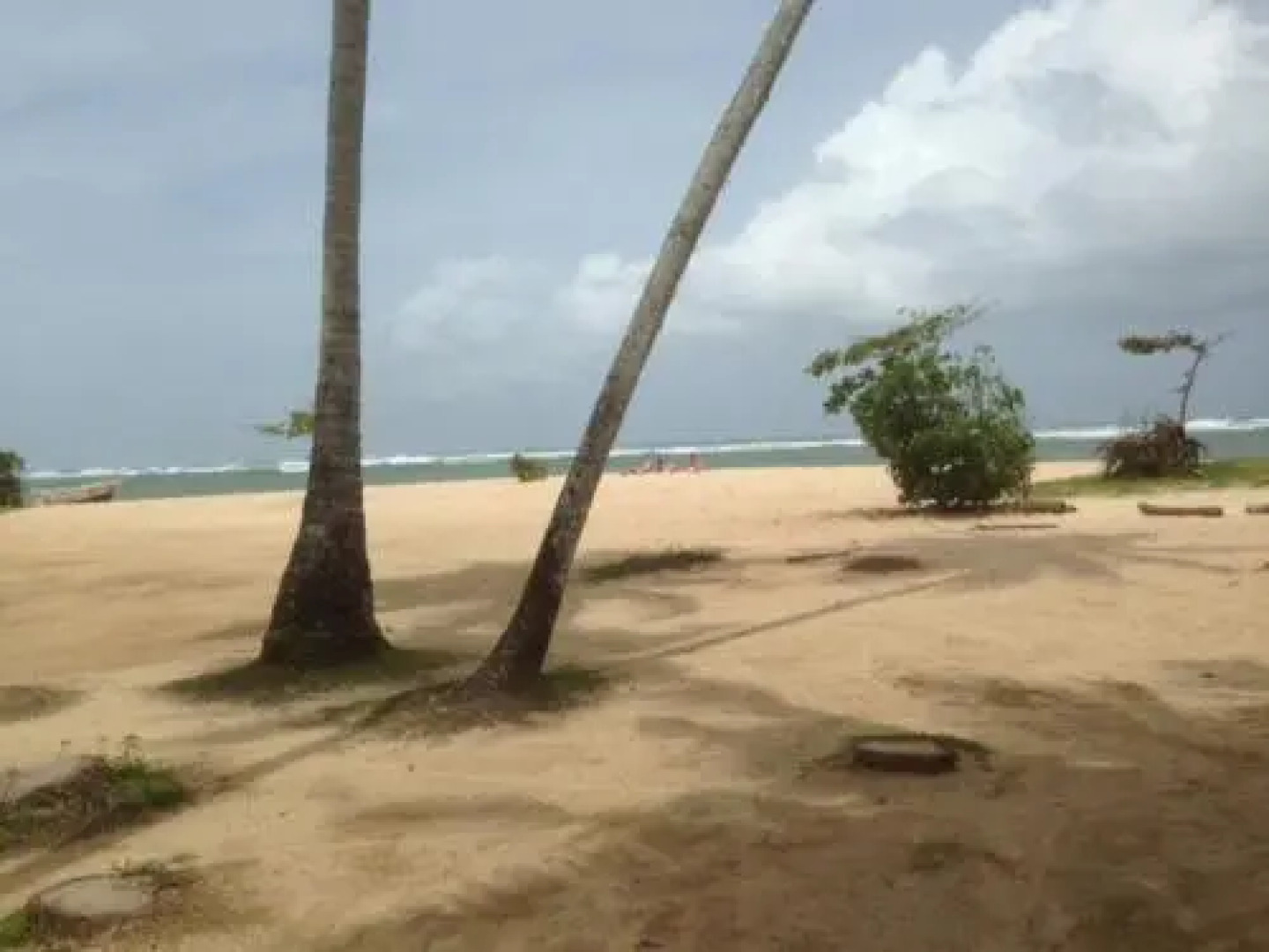 Tropi Turtle Guesthouse