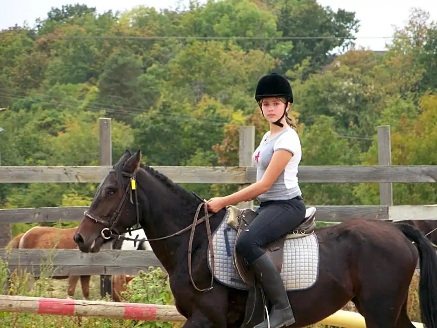 Hotel Restaurant Les Templiers