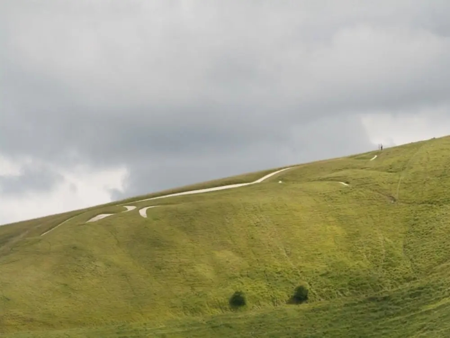 The White Horse View B&B