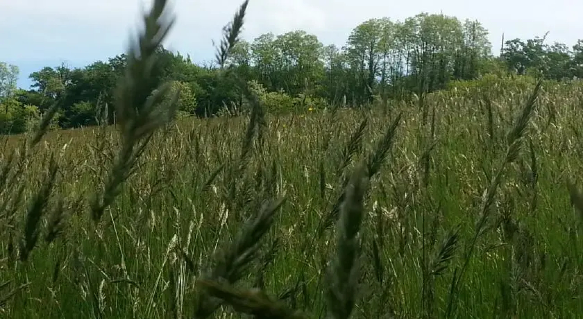 Farmstay Alpagâterie