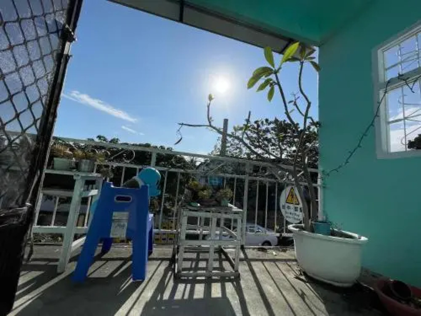 Backpacker Dog Hostel