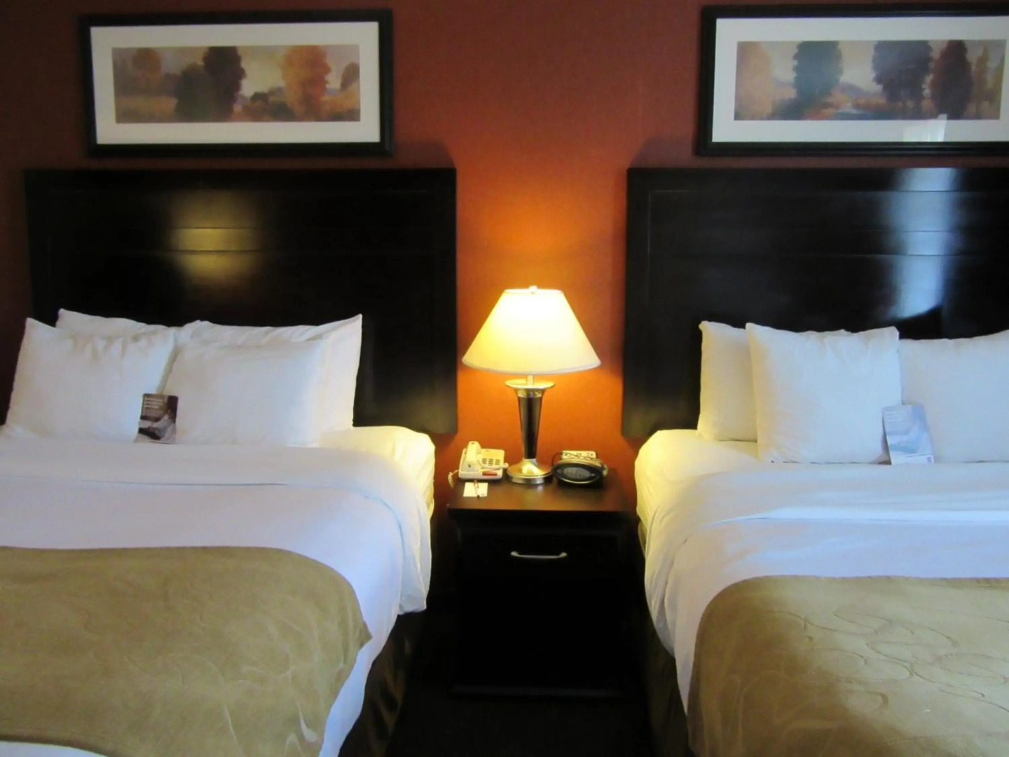 Comfort Suites Airport