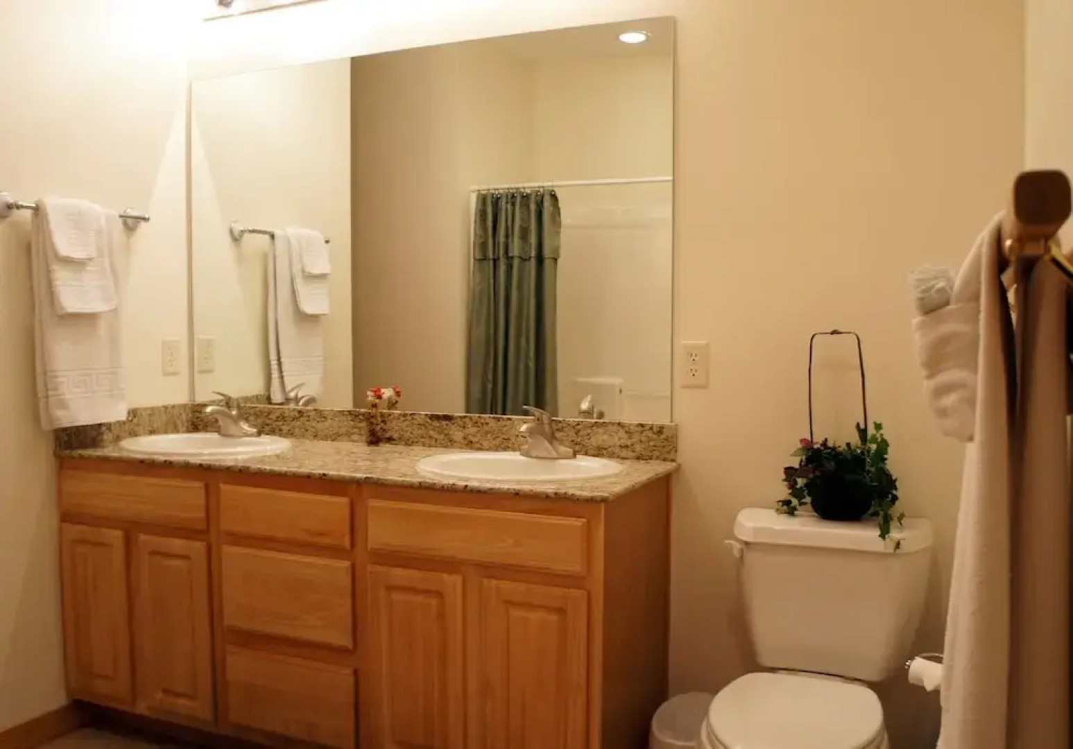 Celebration Cove Table Rock Lakefront Condos