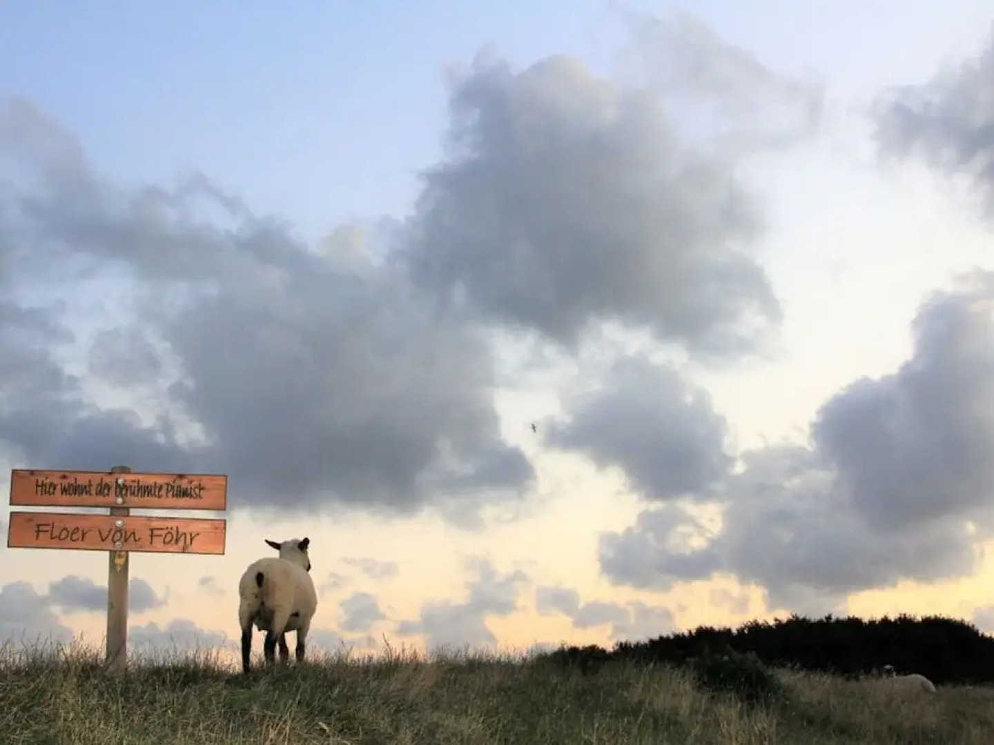 Westerheide Modern Retreat