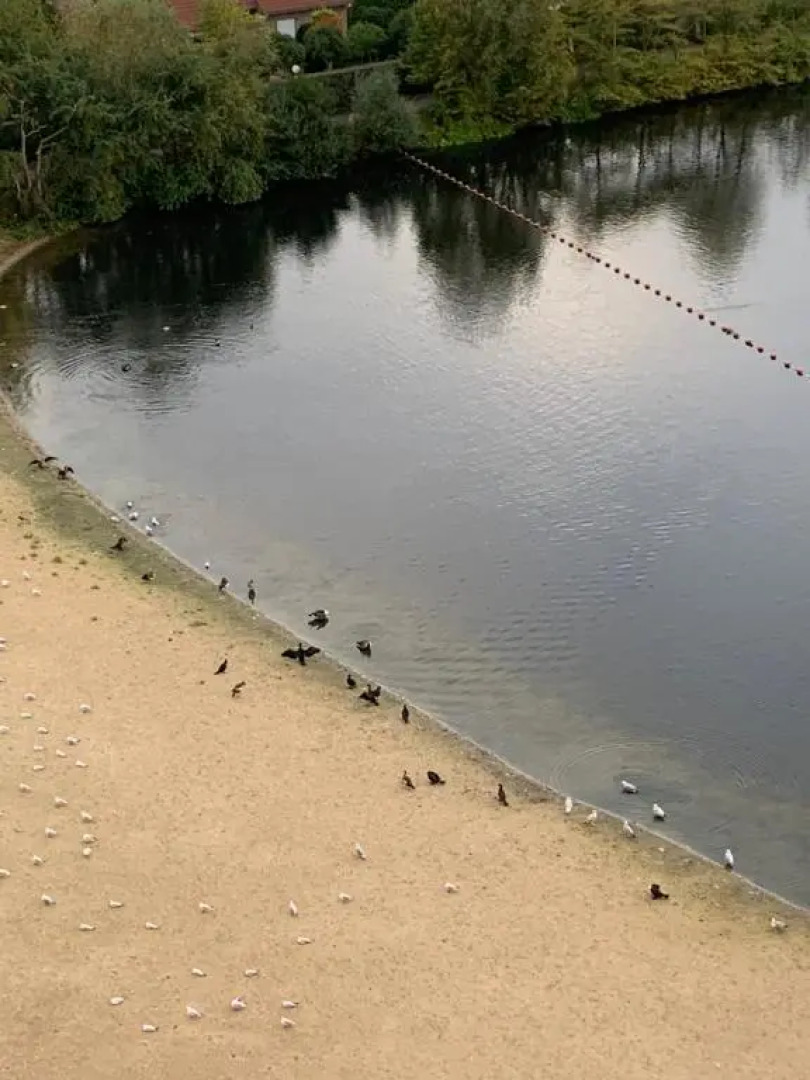 Cosy Laguna Resort Knokke Duinbergen Furnitured Internet studio