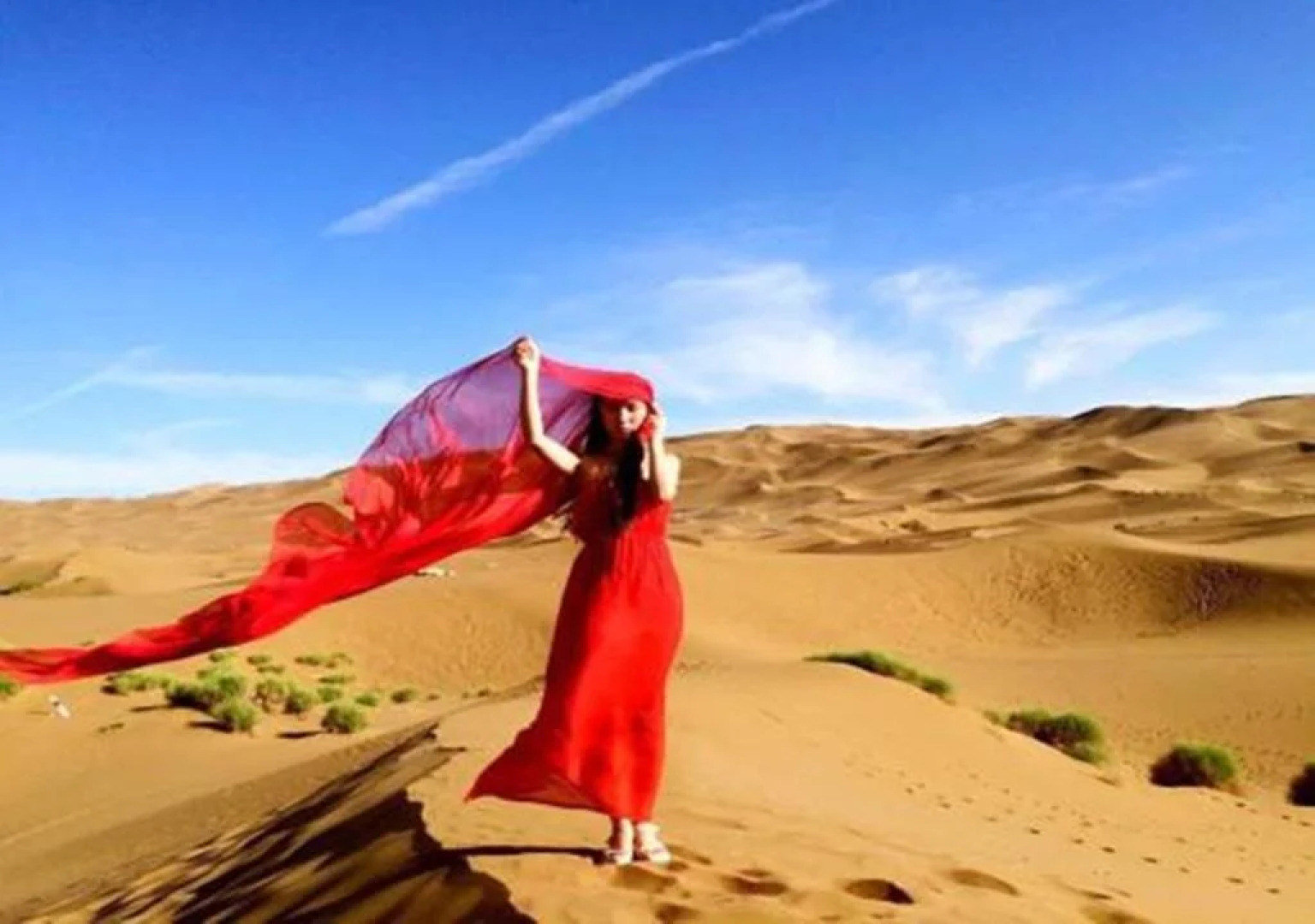 Datang Purple Camel Hostel Dunhuang