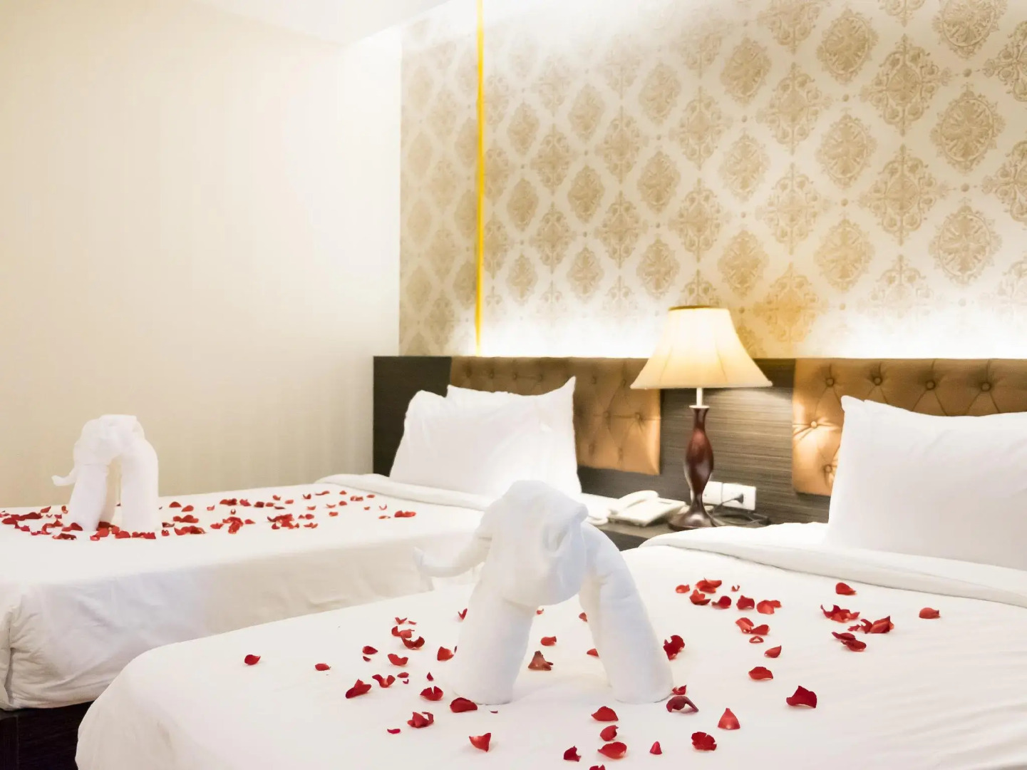 The Y Boutique Hotel