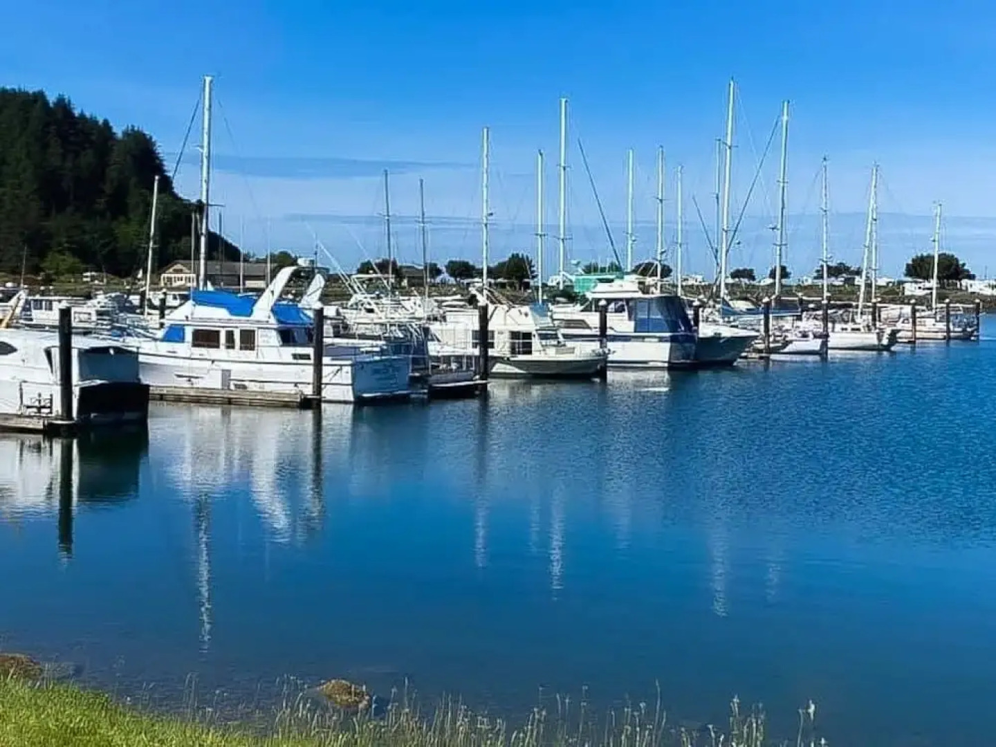 Riverview - Mins To Beach, Dunes, Lakes 3 Bedroom Home