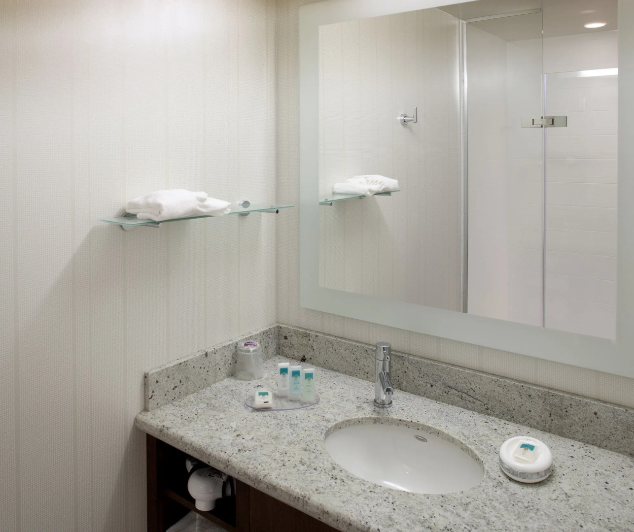 Springhill Suites by Marriott Alexandria Old Town/Southwest