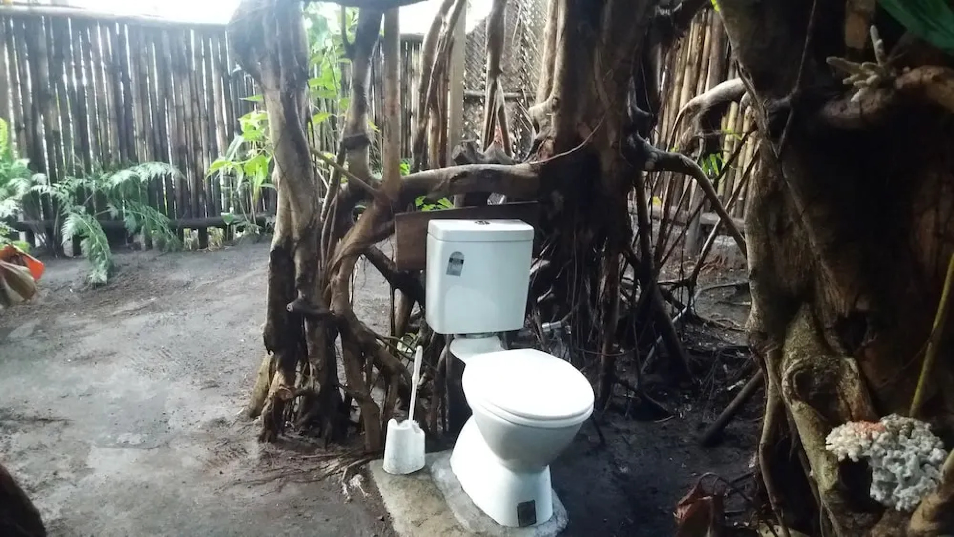 Tanna Eco Venture Bungalow