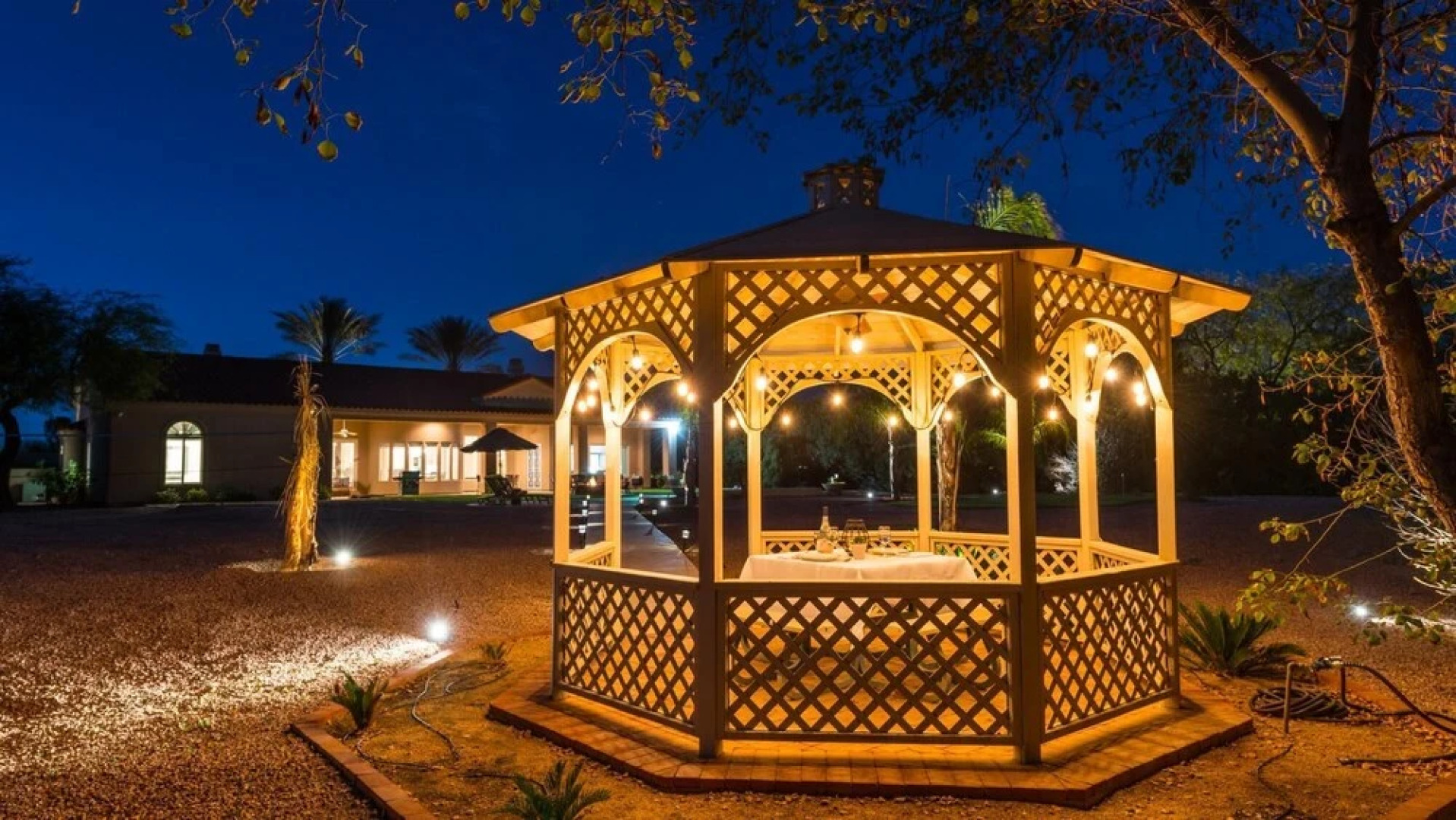 Meadowlark - Paradise Valley