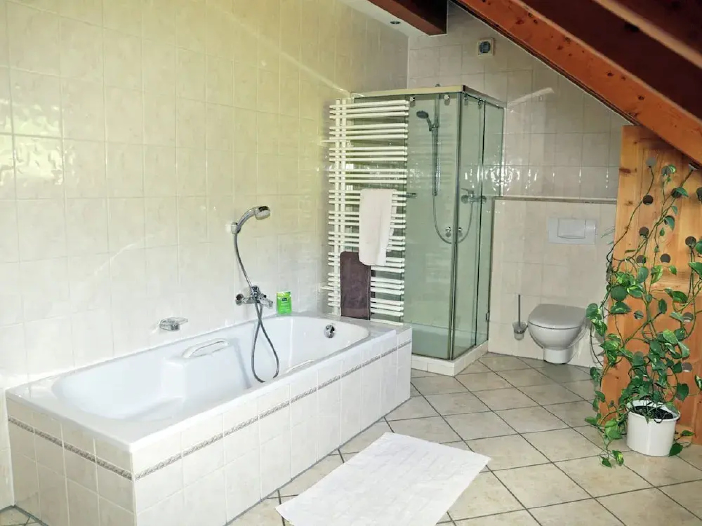 Beautiful and Cosy Apartment in a Wooded and Mostly Quite Rustic Ambience
