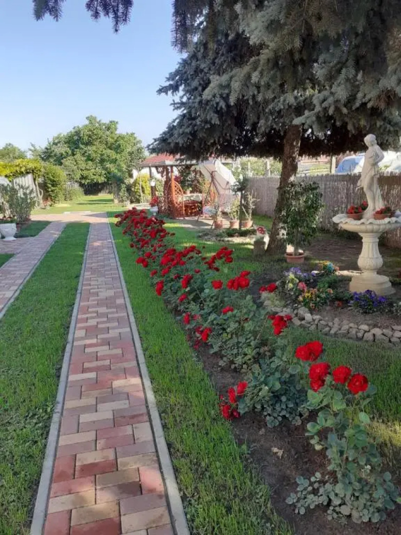 Karkusz Apartman