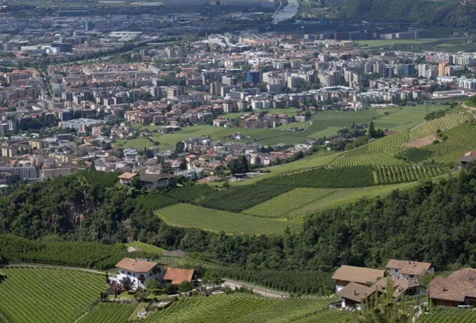 Tollhof